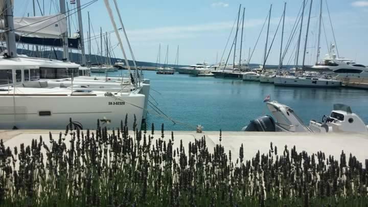 Villa Barbara-Kastela With Heated Pool 外观 照片